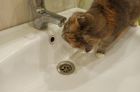 5 мая в Центральном округе Тулы отключили холодную воду