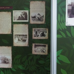 «Зоопарки в годы войны» на фотографиях покажут в Тульском областном экзотариуме