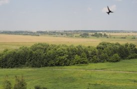 Курган в Тульской области включили в перечень объектов культурного наследия