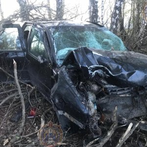 В Тульской области во врезавшейся в дерево иномарке пострадали водитель и три пассажира