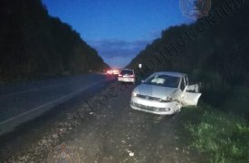 Две маленькие девочки пострадали в ДТП на окраине Тулы