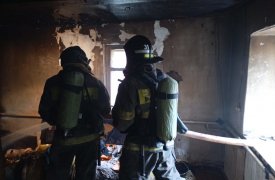 В Тульской области на пожаре в деревенском доме сгорела 94-летняя пожилая женщина