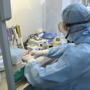 68 новых случаев заболевания коронавирусом зарегистрированы по данным на 16 мая в Тульской области
