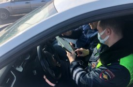 В Тульской области иномарка на трассе сбила пешехода