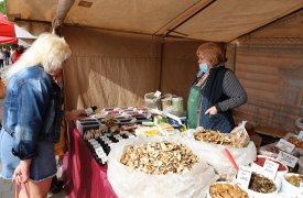 В Туле заработала новая ярмарка выходного дня на проспекте Ленина