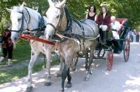 В Тульской области отменили очередной международный съезд семьи Толстых