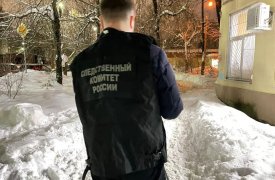 В Туле на 150 тысяч оштрафован директор УК, допустивший падение льда на 10-летнюю девочку