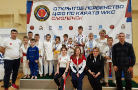 Юные туляки стаи победителями и призерами первенства ЦФО по каратэ