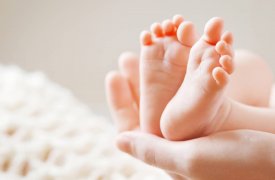 За май в Тульской области родились Даниэль, Доминик и Ариэль