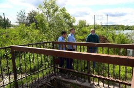 Природоохранная прокуратура организовала проверку пляжа в Бушево Пролетарского округа Тулы