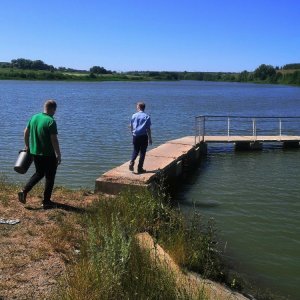 В Тульской области прокуратура проводит проверку загрязнения реки Малая Сукромка