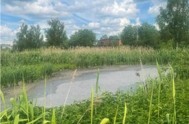 В Тульской области под Ясногорском сливали нечистоты прямо в поле