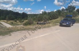 В Тульской области автоледи вылетела в кювет: пострадал 8-летний пассажир