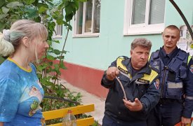 В Туле в подъезде многоэтажки обнаружили змею