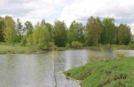 Деревню Исаково в Тульской области признали объектом культурного наследия