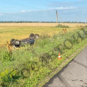 ДТП с «первертышем» в Ефремовском районе Тульской области вылилось для водителя больницей