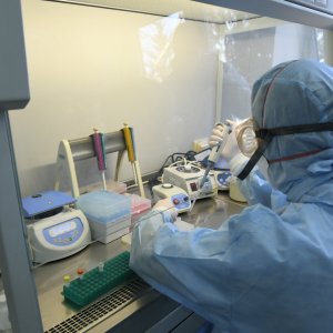 Коронавирус в Тульской области: на 26 июля зарегистрировано 67 новых случаев заболевания за сутки