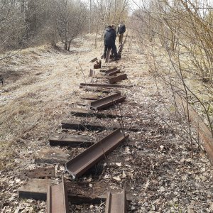 В Тульской области двое «металлистов» хотели украсть почти тонну железнодорожных рельсов