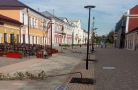 В Туле поймали хулигана, сломавшего деревья на улице Металлистов