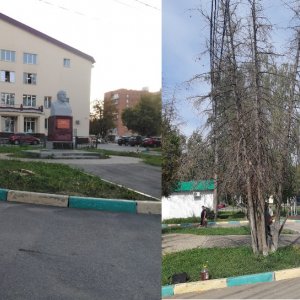 Жители Пролетарского округа жалуются на вырубленные в сквере за бывшим ДК ТуКЗ деревья