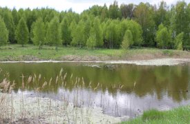 В Тульской области создана экологическая инспекция