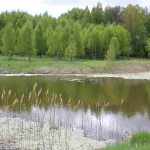 В Тульской области создана экологическая инспекция