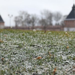 В Тульской области прогнозируют заморозки в ночь с 4 на 5 сентября
