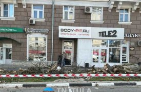 В центре Тулы на проспекте Ленина спилили старые деревья