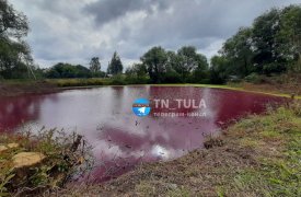 В тульском поселке Михалково покраснел пруд