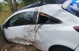 В Алексине Тульской области автоледи вылетела в кювет