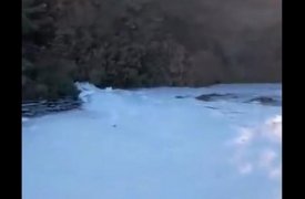 Река Мышега в Тульской области покрылась белой пеной из-за сбросов с завода