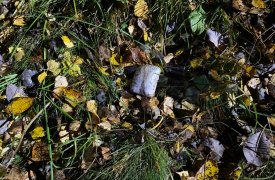 В Тульской области пресечен канал поставки наркотических средств в особо крупном размере