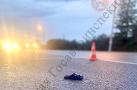 В Щекинском районе на трассе легковушка сбила 9-летнего мальчика