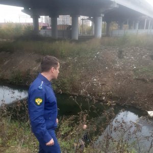 Тульская природоохранная прокуратура проводит проверку загрязнения реки Воронка