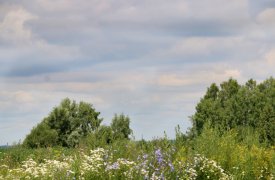 Новые кладбища в Туле появятся под Судаково и в районе Новомосковского шоссе