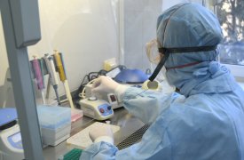 В Тульской области 2 человека с ковидом попали в больницу