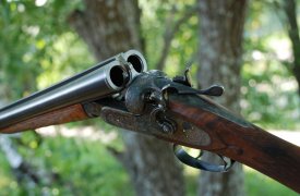 Житель Новомосковска подозревается в незаконной охоте