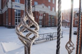Прогноз погоды в Туле на 20 ноября
