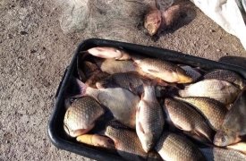 Два жителя Тульской области незаконно выловили 168 рыб
