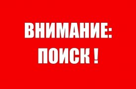 В Тульской области почти две недели ищут пропавшую 16-летнюю девушку