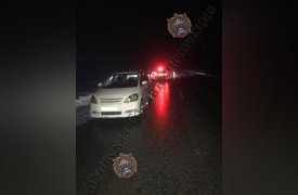 В Киреевском районе Toyota насмерть сбила пешехода