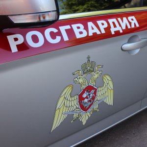 Сотрудники росгвардии задержали пьяного водителя и остановили дебошира в Тульской области