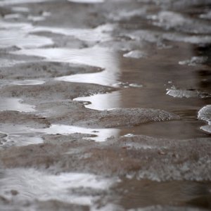 Прогноз погоды в Туле на 14 марта: дождь со снегом и сильный ветер