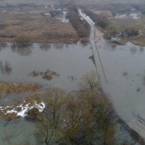 В Тульской области затоплено 12 мостов и несколько участков дорог: данные на 24 марта
