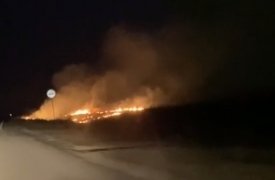 Под Ясногорском загорелось поле