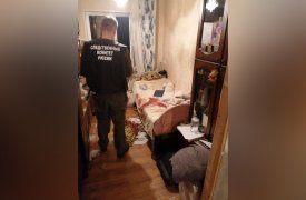 В Новомосковске 16-летний внук напал с ножом на собственную бабушку