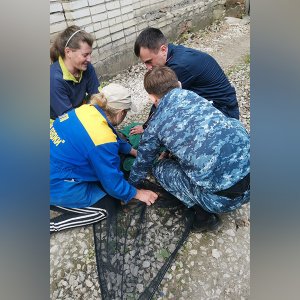 В Туле сотрудники УФСИН поймали сбежавшую из зоопарка косулю