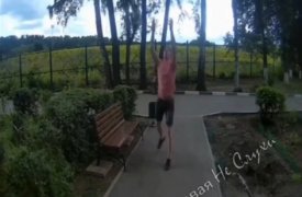 В Узловой мужчина бросил кошку в стену дома