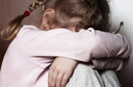 В Туле мужчина получил 15 лет строгого режима за изнасилование детей