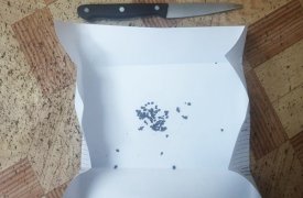 В колонию в Донском пытались передать гашиш в кофе